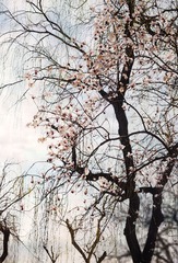 0A830391-408D-4118-ABEA-8B098FC85540/L0/001