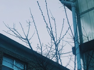 1590403