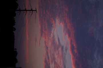 1000059861