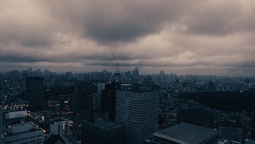 1000041086