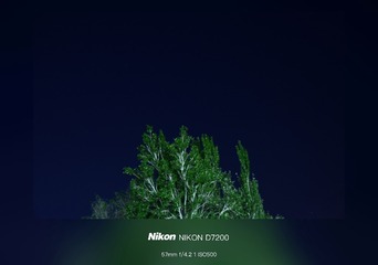 1000020640