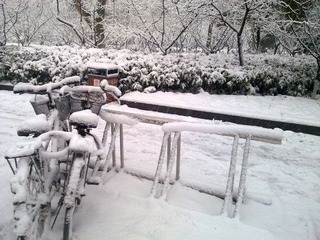 201101201692.jpg