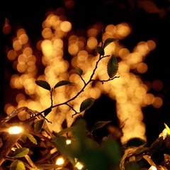 IMG_6103.jpg