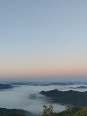 1000005079