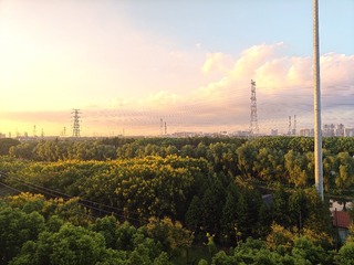 1000050053