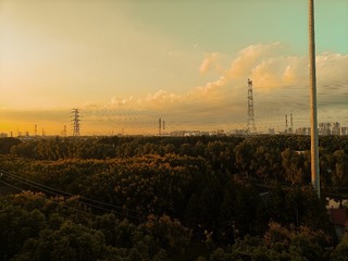 1000050054