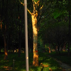 1000028061