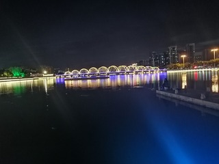 1000001207