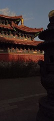 1000106397