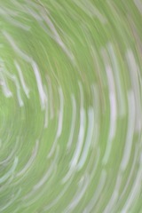 1000041960