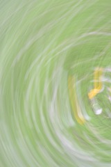 1000041962