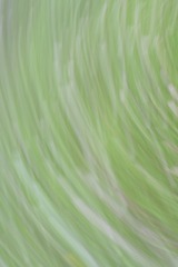 1000041967