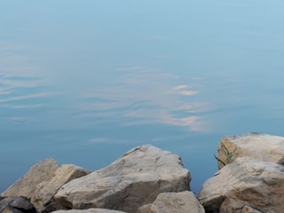 1000016712