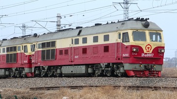 1000256691