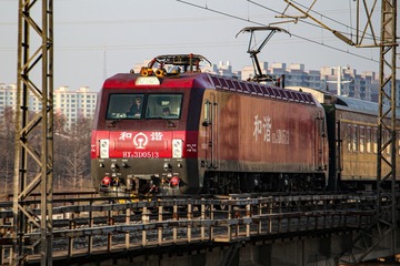 1000253673