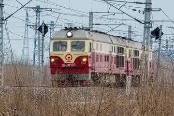 1000256686