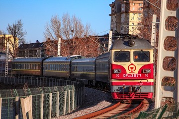1000253831