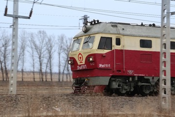 1000256683