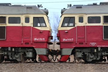 1000256687