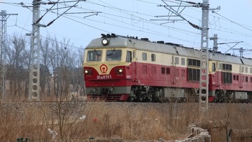 1000256682