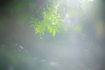 1000027577
