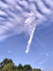 596