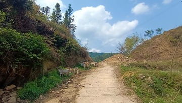 316585