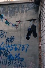 IMGP3259.jpg