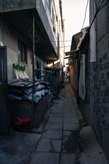 IMGP3262.jpg