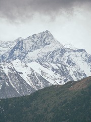 1000058865