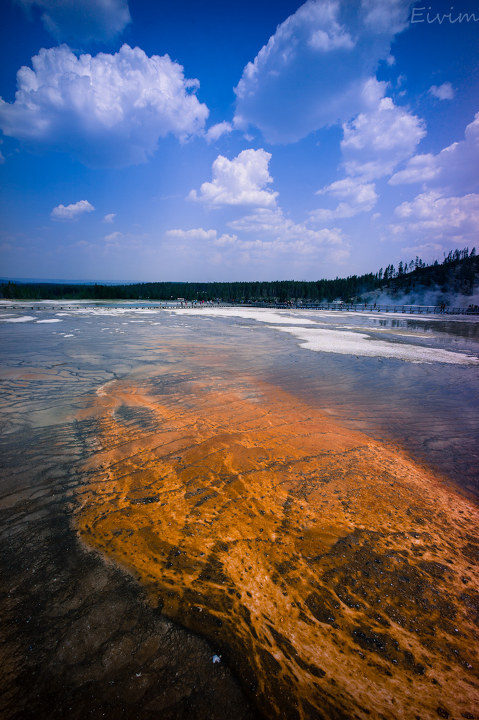 1000328l1000319l1000315l1000308l1000279l1000221l1000217eivim关注