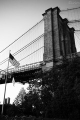 L1003630.jpg