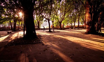 20101112-IMG_7423