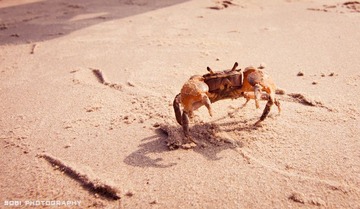 20110225-IMG_2089