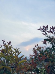 1000470822