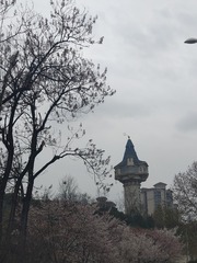 IMG20250402114035
