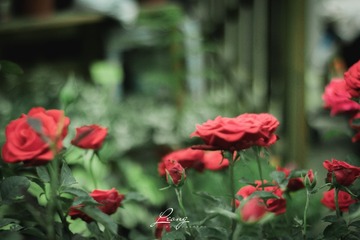 IMG_0412