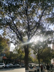 18074