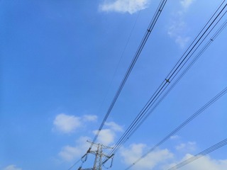 1000000230