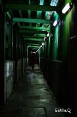 IMGP2940_副本.jpg