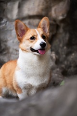 175195