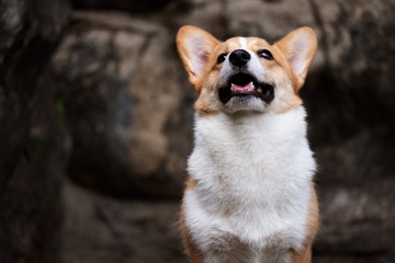 175191