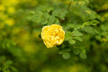 001