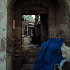 IMG_2110.jpg