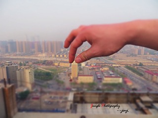 IMG_2232.jpg
