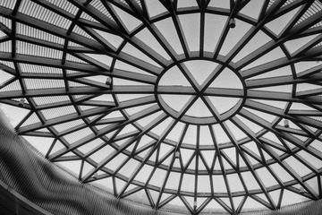 _DSC1016