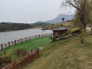 526493