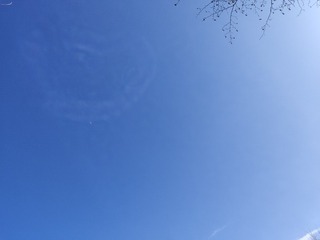 529310