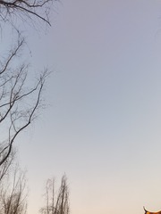 529061