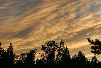 19062